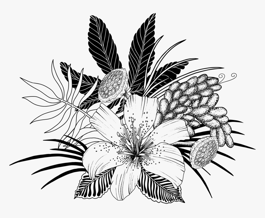 Arrangement 1 Outline - Illustration, HD Png Download