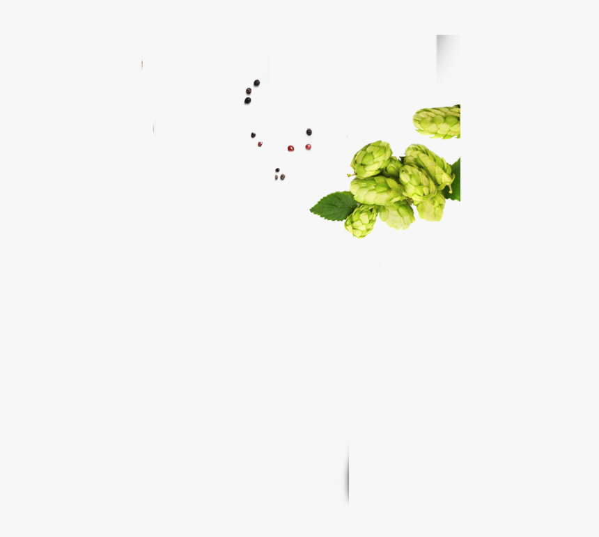 Slider 1 Slide 3 Right - Brussels Sprout, HD Png Download