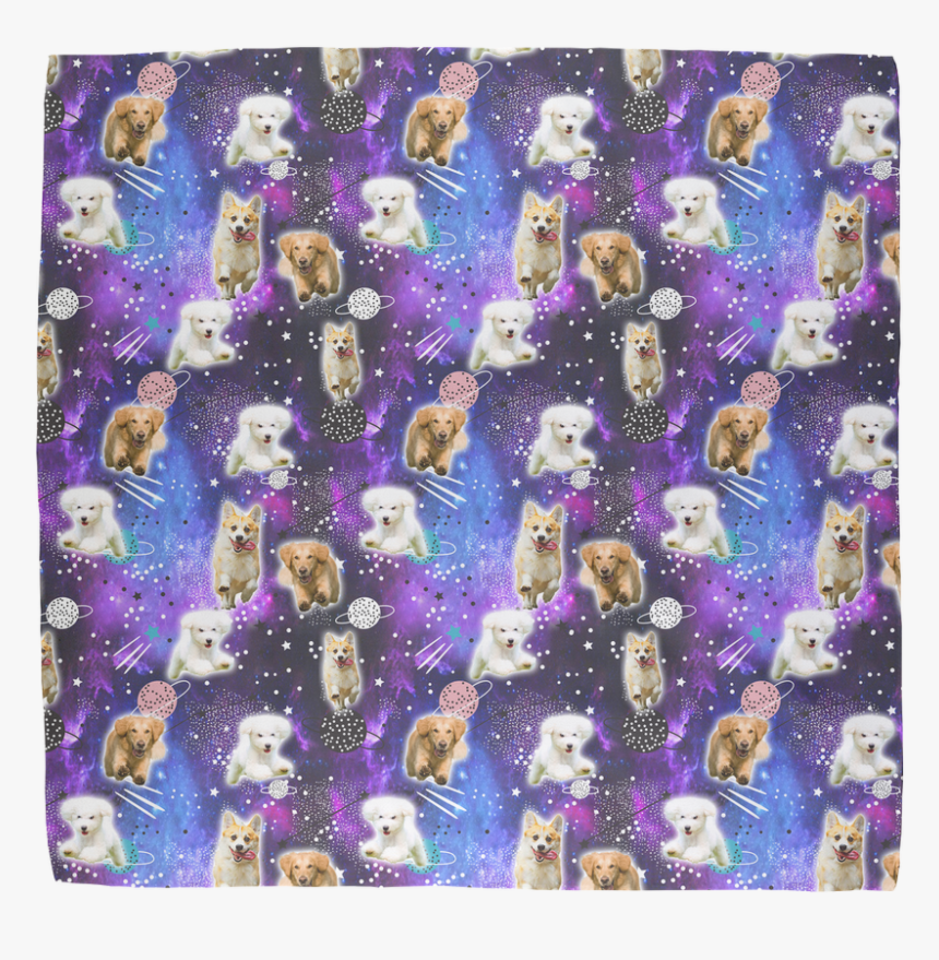 Pug, HD Png Download