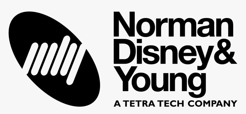 Norman Disney Young Logo Png , Png Download - Ndy Tetra Tech, Transparent Png