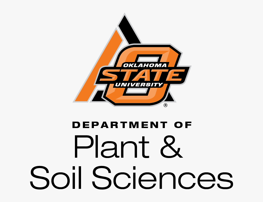 Passonbottomlarge - Oklahoma State University, HD Png Download