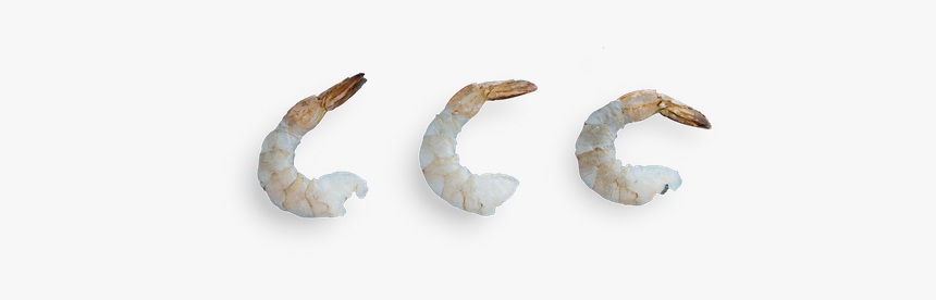 Earrings, HD Png Download