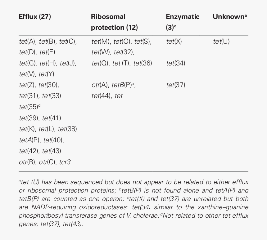 Tet Gene Mechanism, HD Png Download