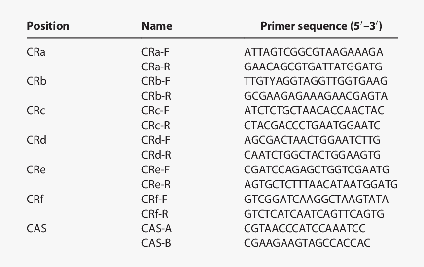 Primer Sequence Of Il 6, HD Png Download