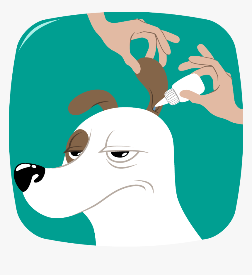 Nettoyer Oreille Chien Bien Être Clipart , Png Download - Dog, Transparent Png