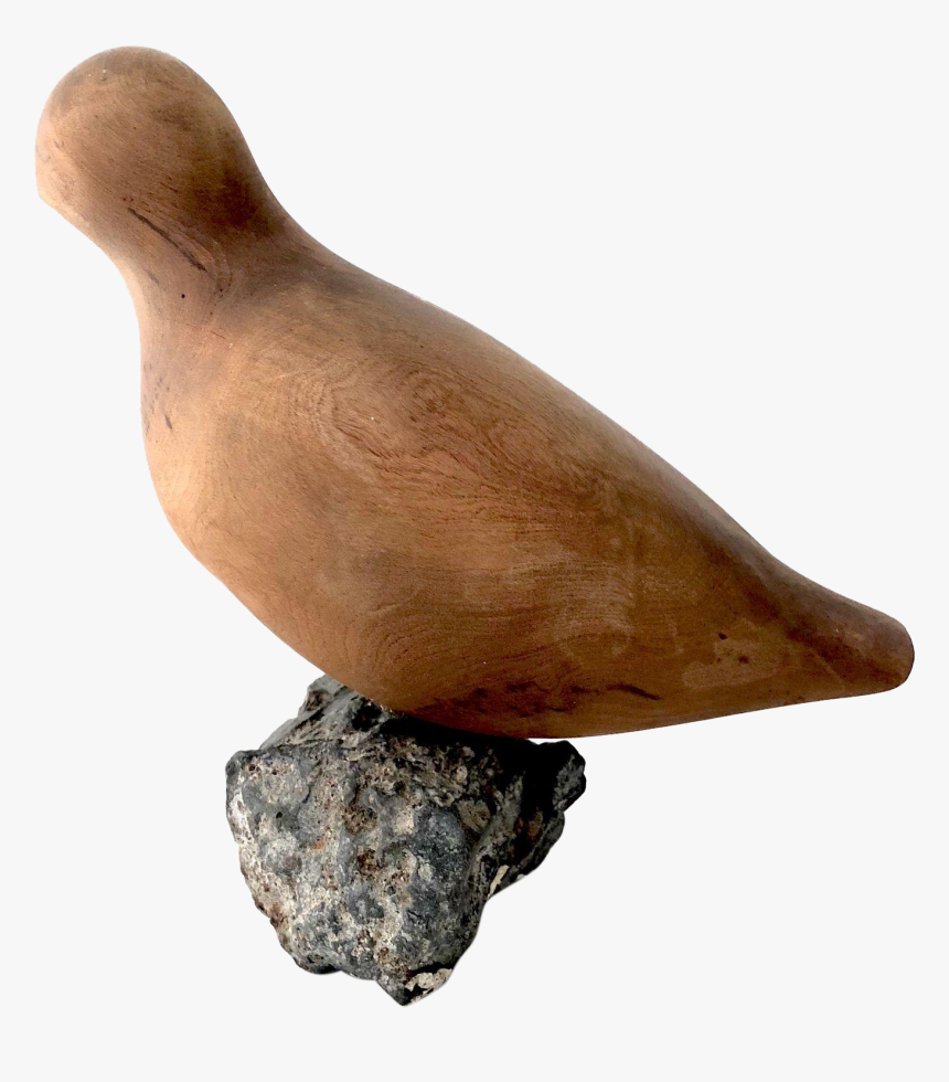 Stock Dove, HD Png Download