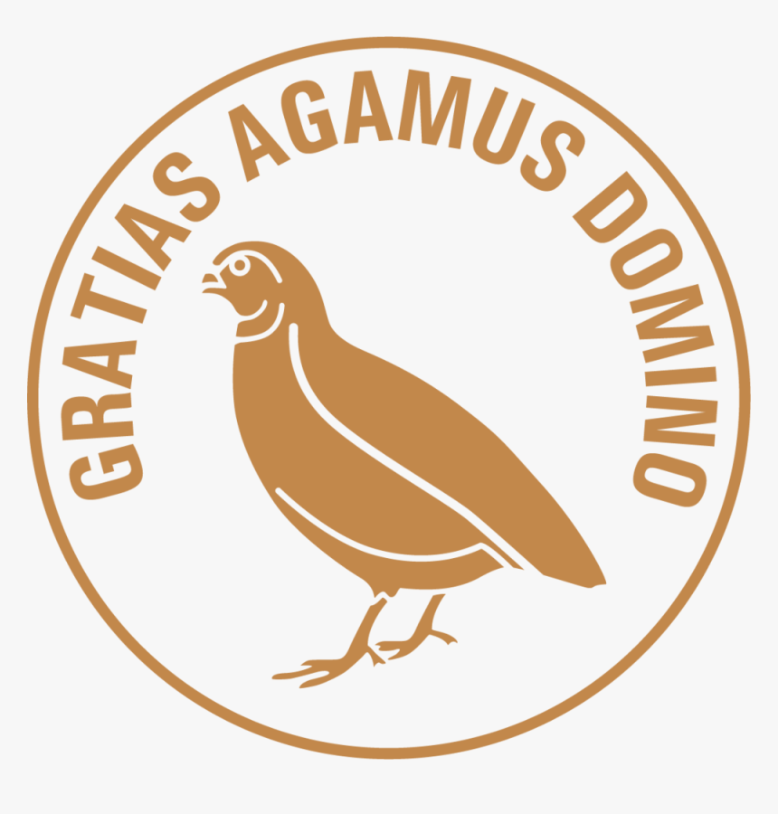 Quail For Candle Image - Turkey, HD Png Download