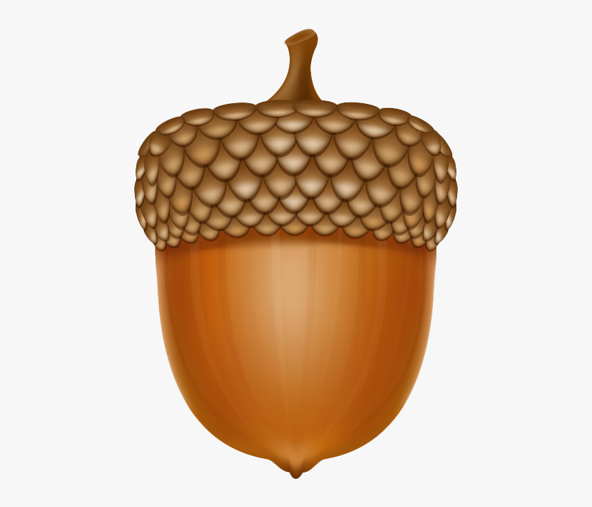 Oak Nut Png Free Background - Acorn Illustration, Transparent Png