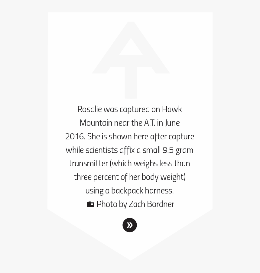 Traffic Sign, HD Png Download