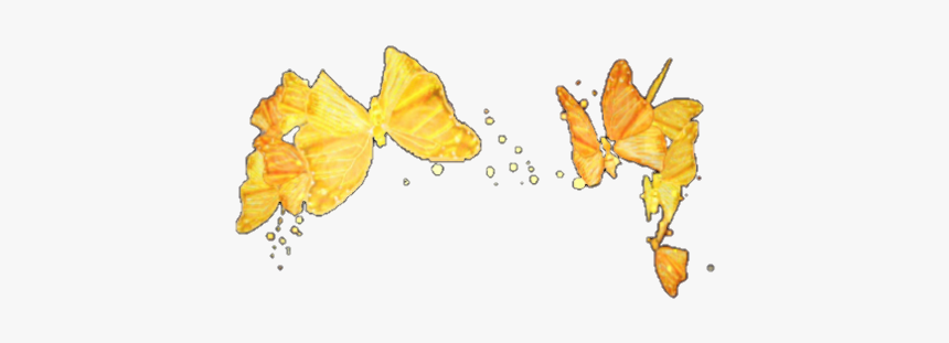 Brush-footed Butterfly, HD Png Download