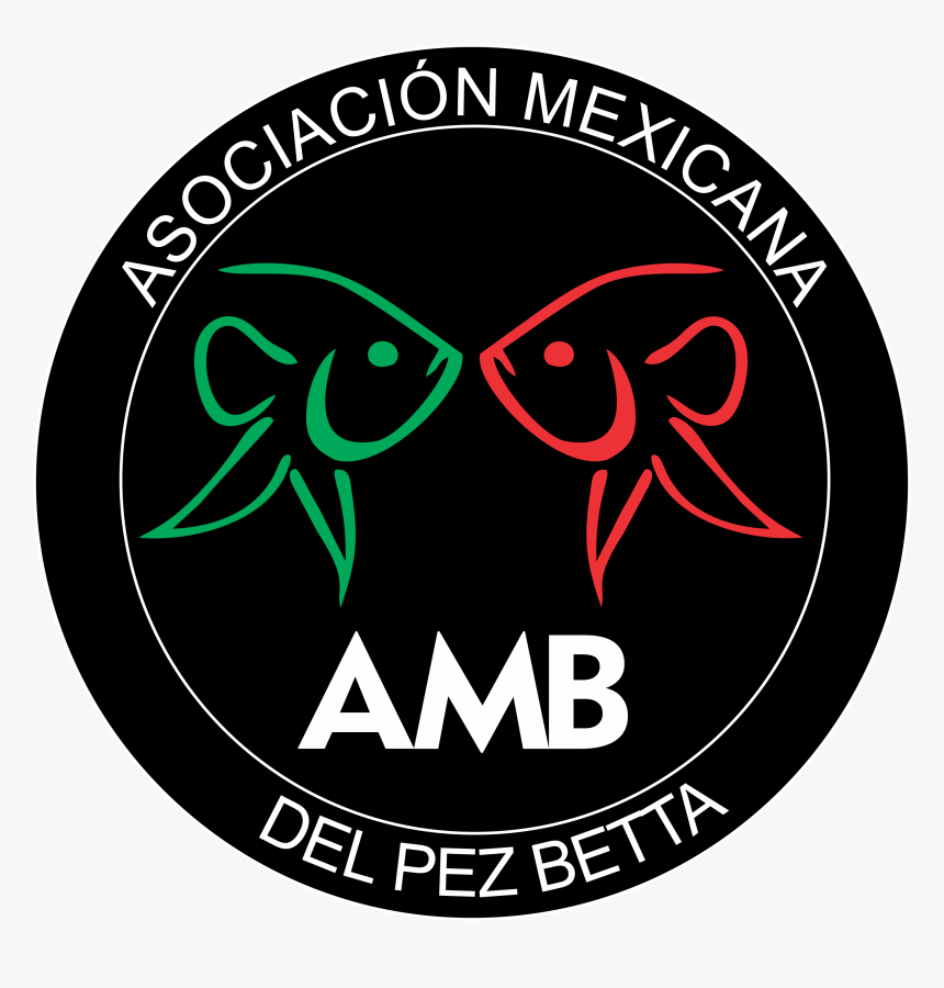 Heraldos De Cristo, HD Png Download