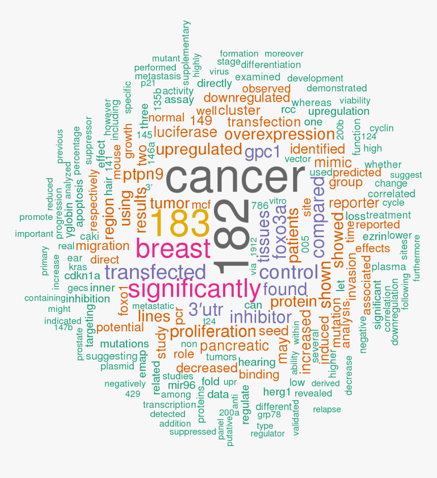 Mir 99b Target Luciferase Assay, HD Png Download