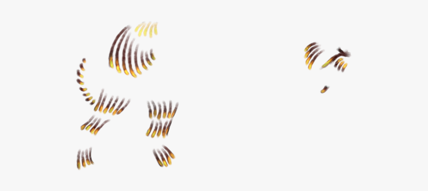 Accipitridae, HD Png Download