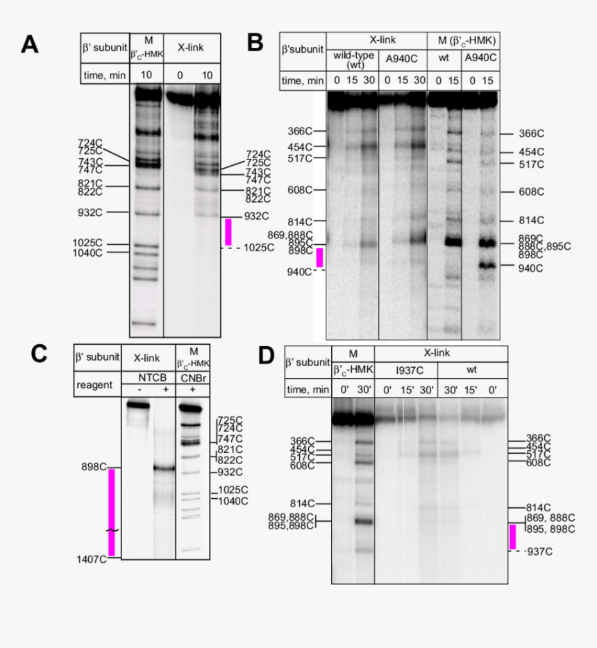 Diagram, HD Png Download