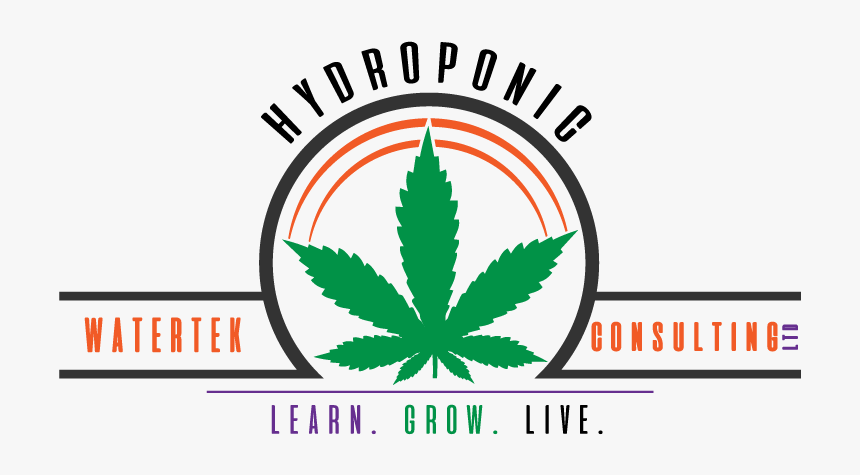 Cannabis, HD Png Download