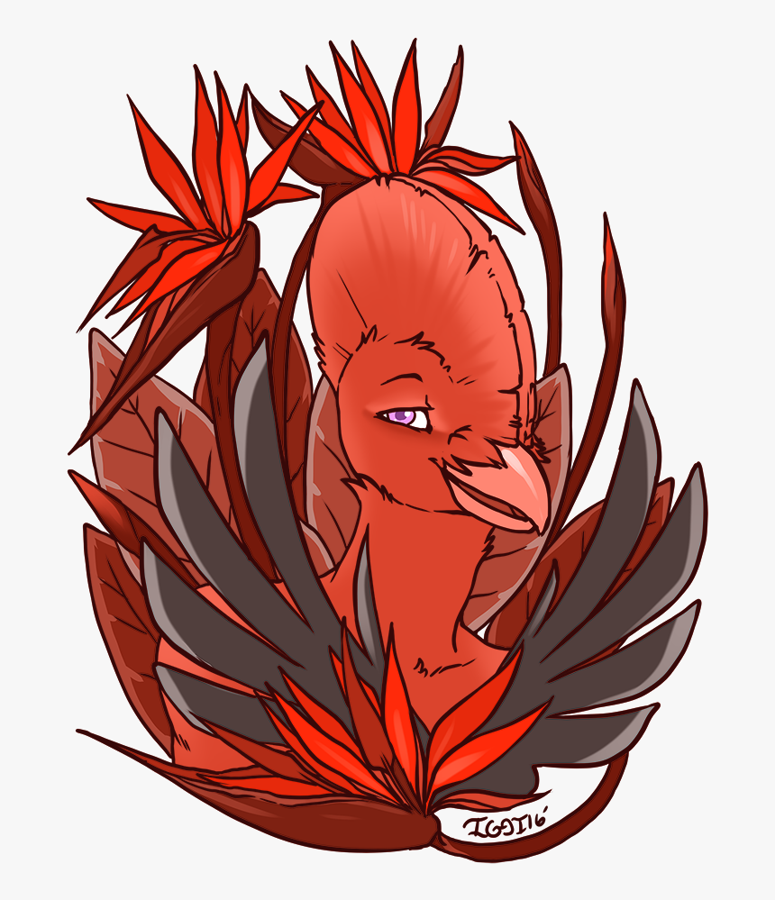 Bird Of Paradise - Illustration, HD Png Download