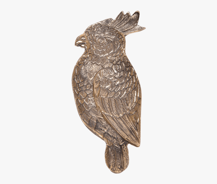 Great Horned Owl, HD Png Download