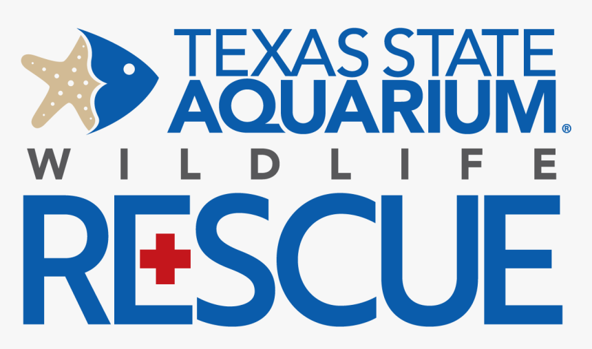 Texas State Aquarium Wildlife Rescue, HD Png Download