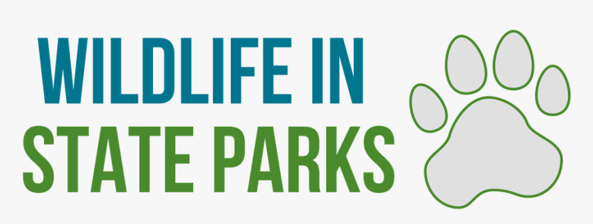 Electric Blue, HD Png Download