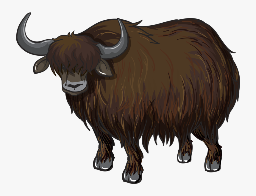 Drawn Ox Clip - Yak Clipart Png, Transparent Png