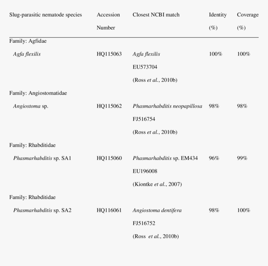 Screenshot, HD Png Download