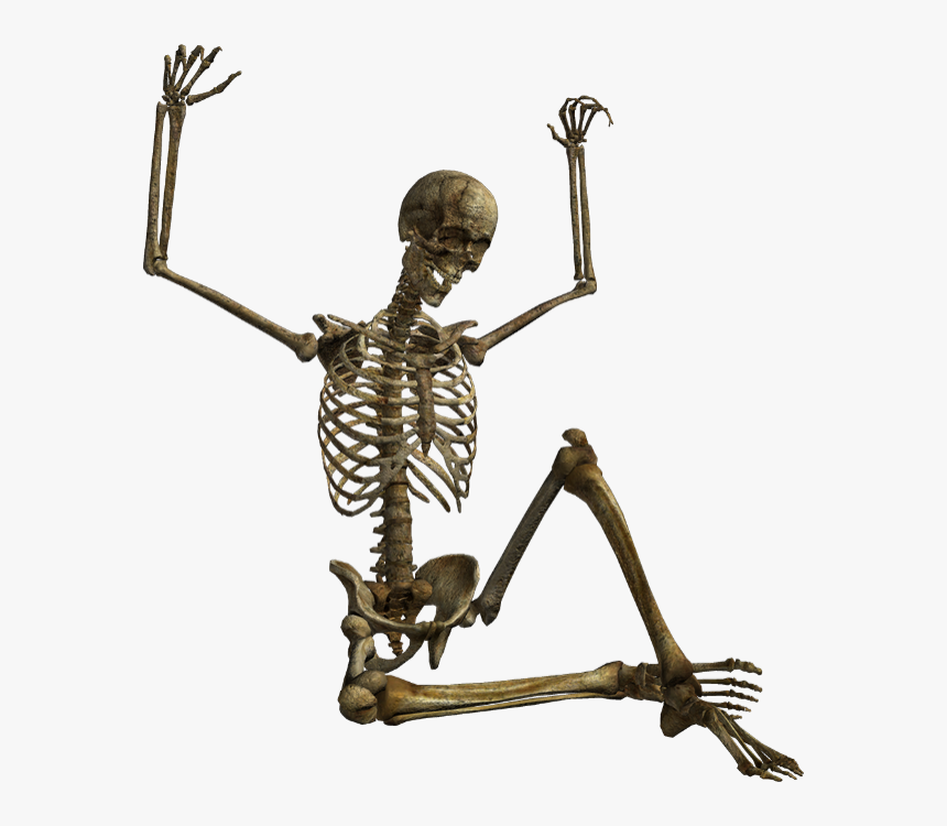 Squelette Png, Tube Halloween - Squelette Halloween Sur Fond Transparent, Png Download