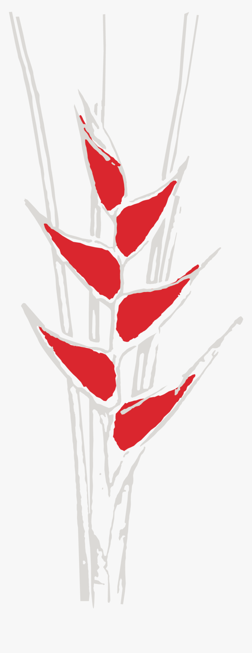 Coco Maya Logo Flowers Cmyk 2, HD Png Download