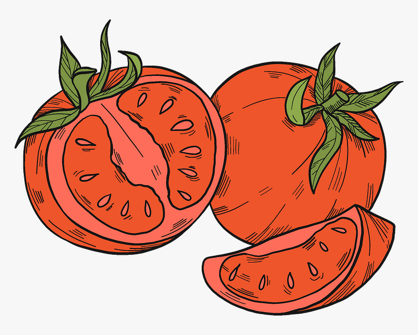 Clip Art, HD Png Download