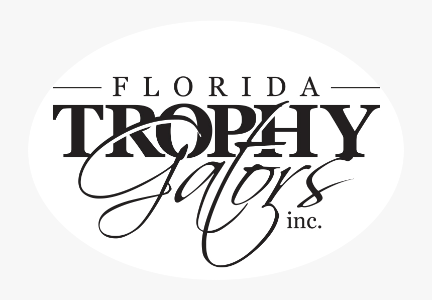 Single And Fabulous, HD Png Download