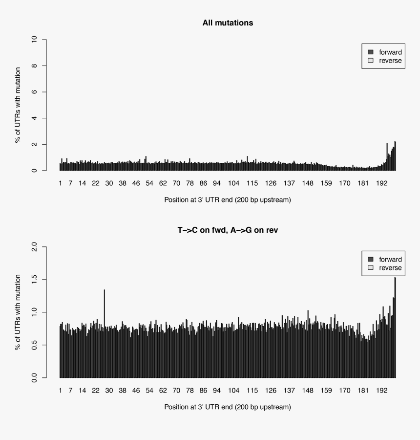 Images/stats - Tcperutrpos, HD Png Download