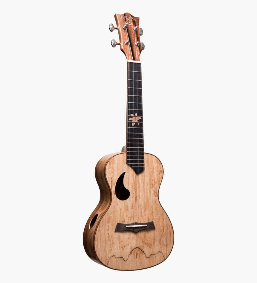 Acoustic Guitar, HD Png Download