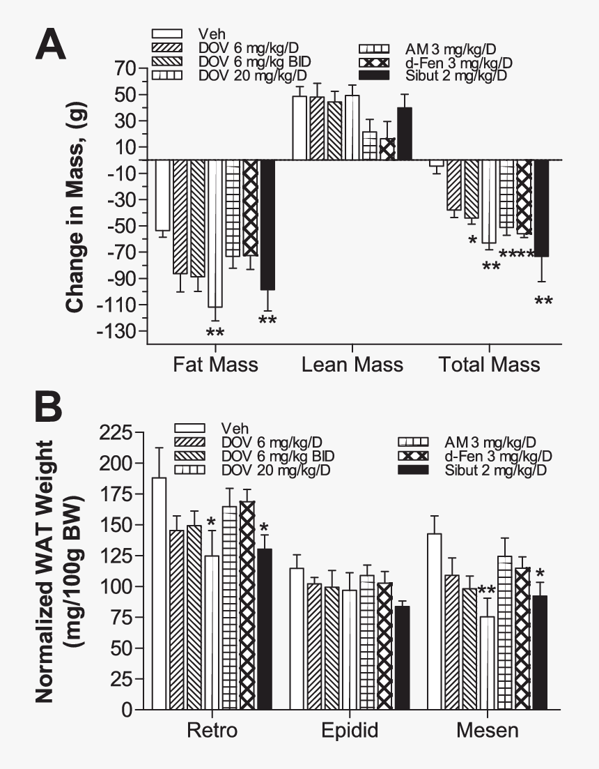 Diagram, HD Png Download