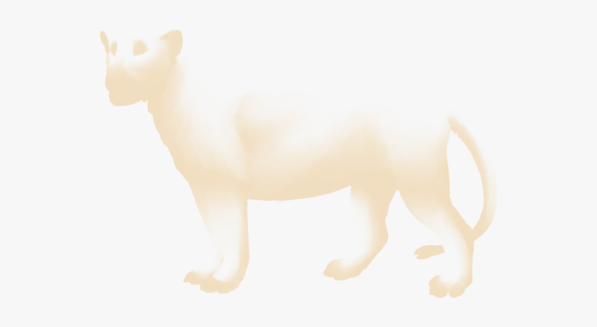 Cat, HD Png Download
