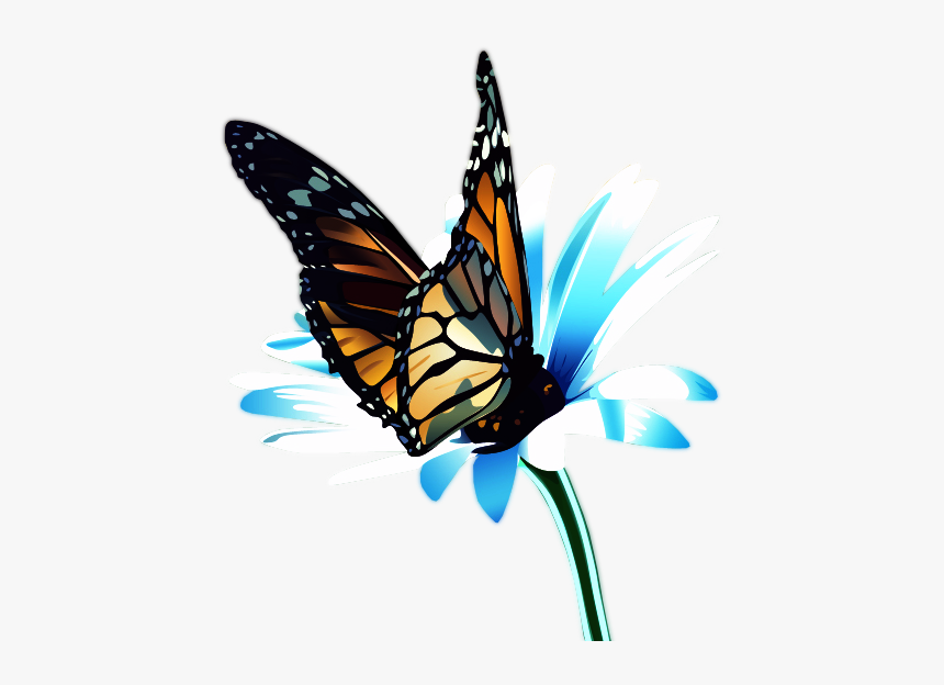 Papillon Render, HD Png Download