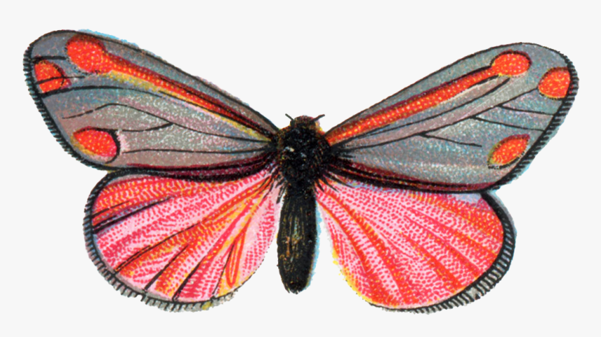 Tasse Kaffee, HD Png Download