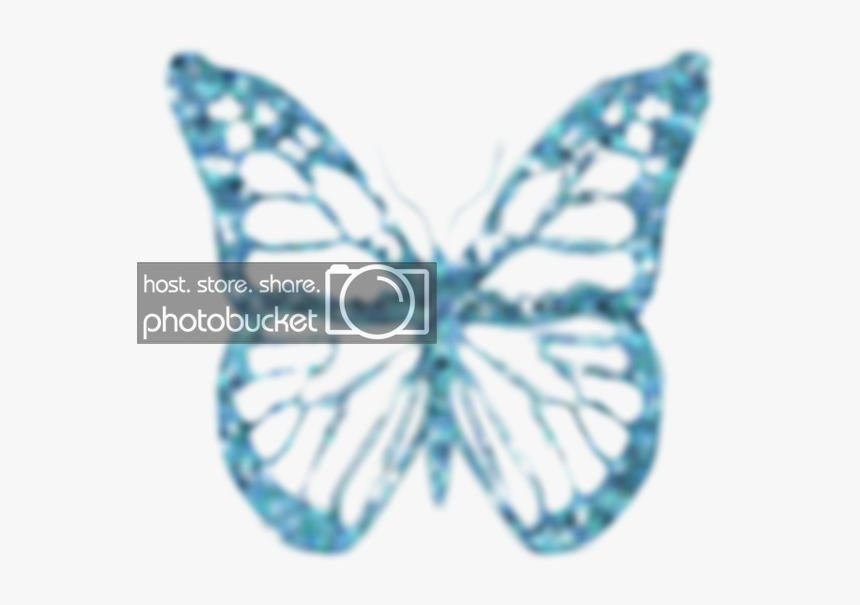 Butterfly .png, Transparent Png