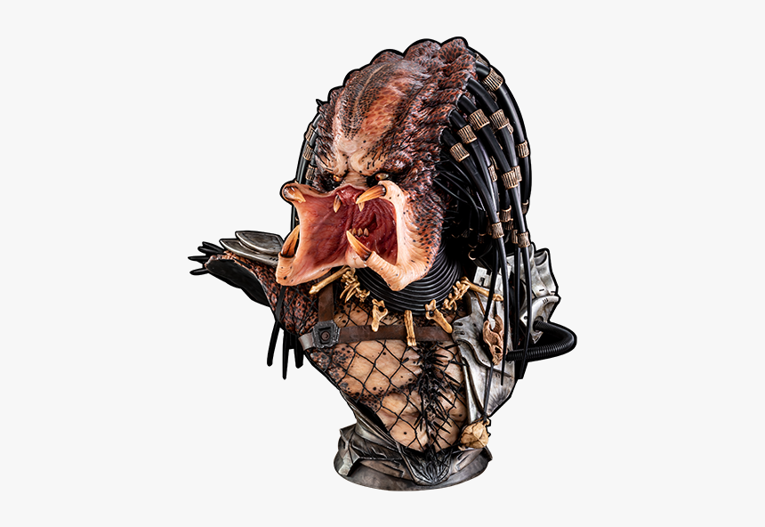 Illustration, HD Png Download