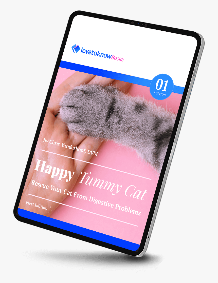 Smartphone, HD Png Download