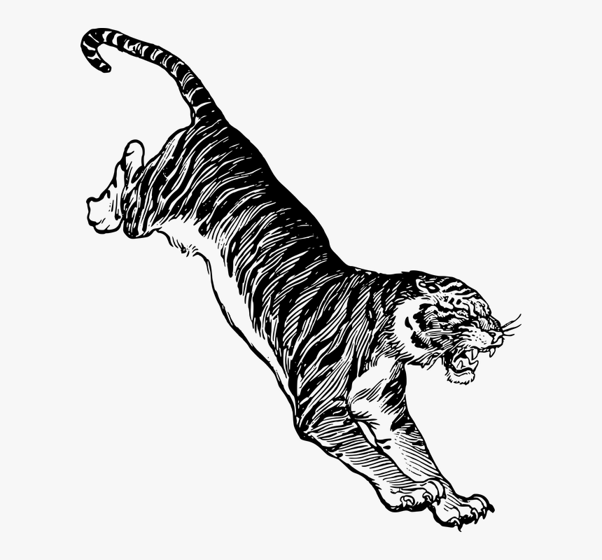 Jump Tiger, HD Png Download