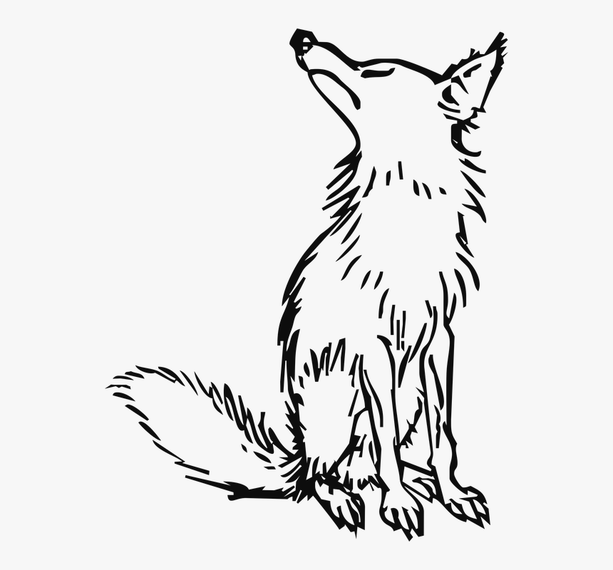Wolf Png Clipart - Outline Of Fox And Grapes, Transparent Png