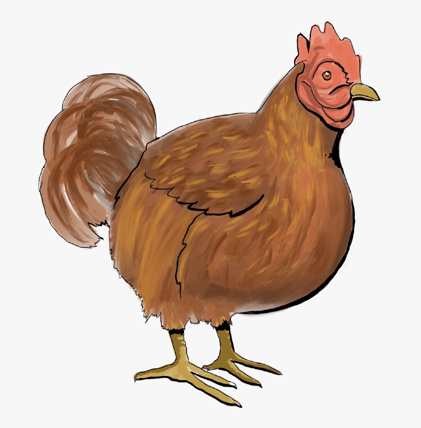 Chicken - Turkey, HD Png Download
