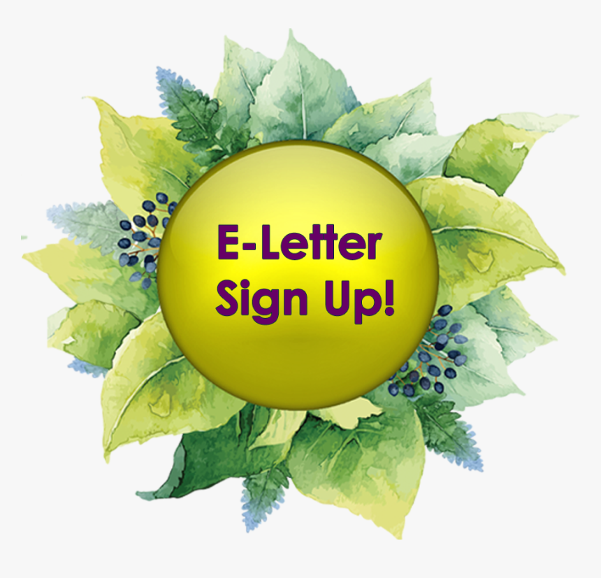 &nbsp - &nbsp - &nbsp - &nbsp - &nbsp - &nbsp - &nbsp - Rumi Quote Watercolor, HD Png Download