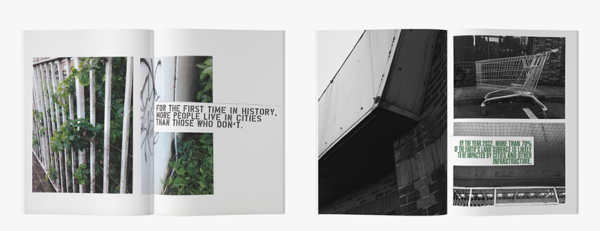 Tree, HD Png Download