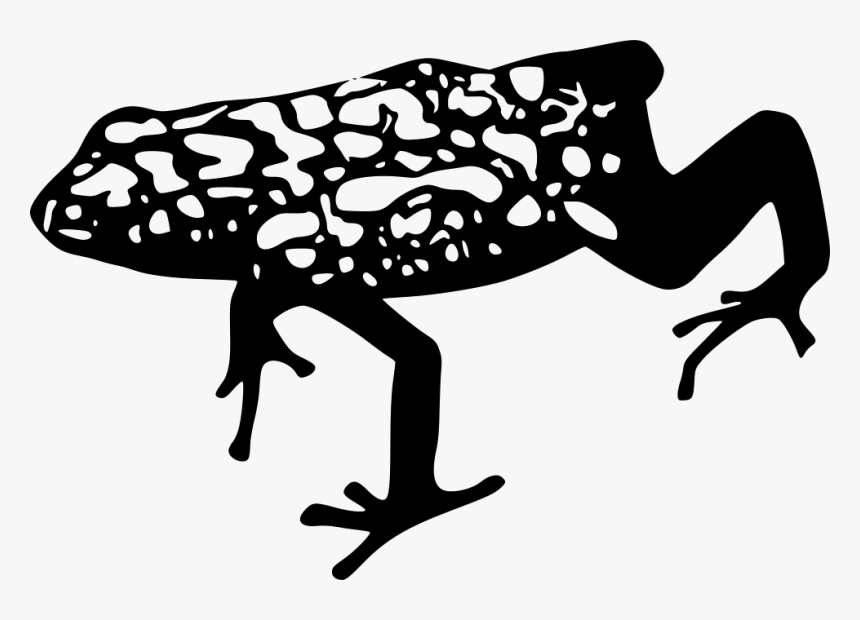 Dart Frog - Dart Frog Clipart, HD Png Download