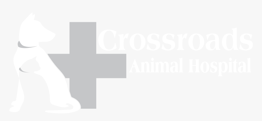 Poster, HD Png Download