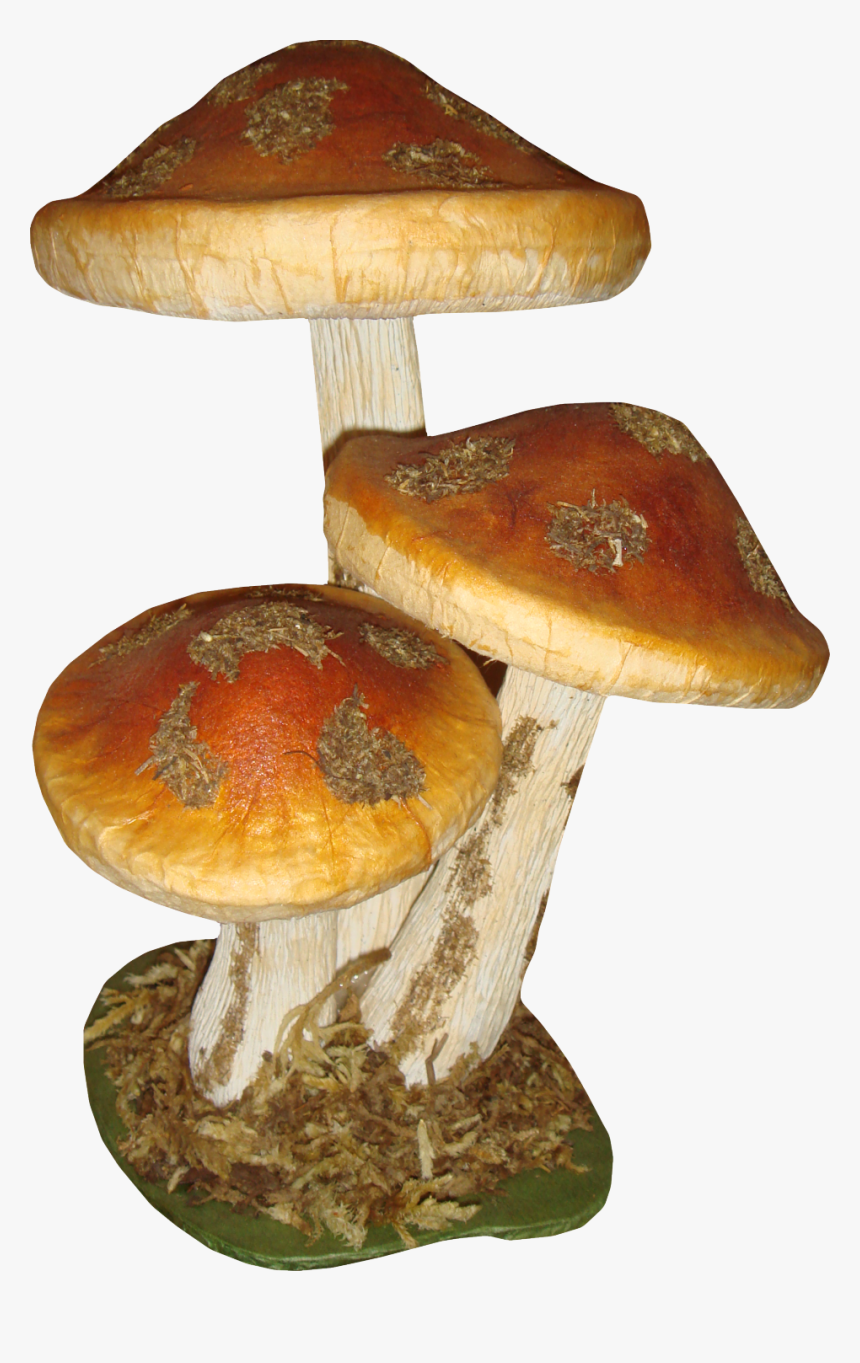 Autumn Mushroom Png, Transparent Png