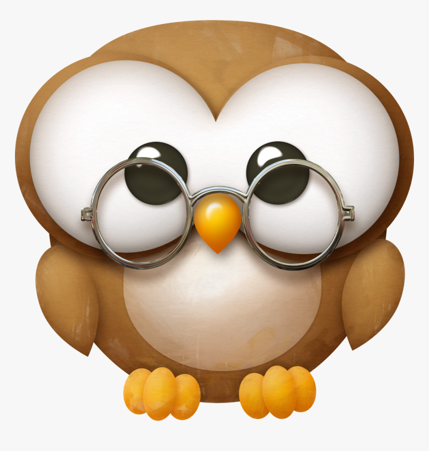 Wild Wonderful Wednesday, HD Png Download