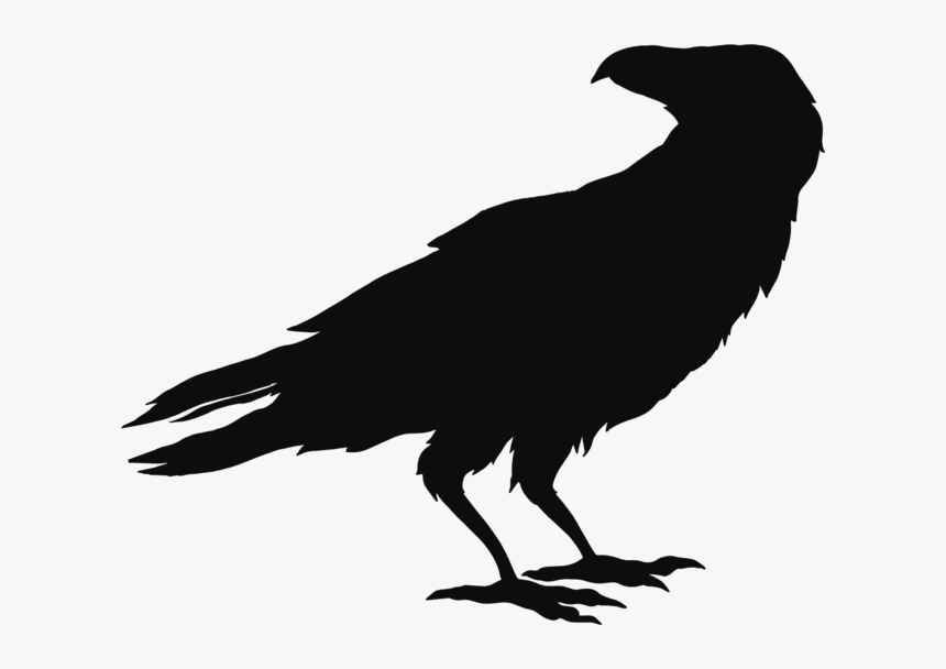 Owl Bird Silhouette Clip Art - Owl In Flight Silhouette, HD Png Download