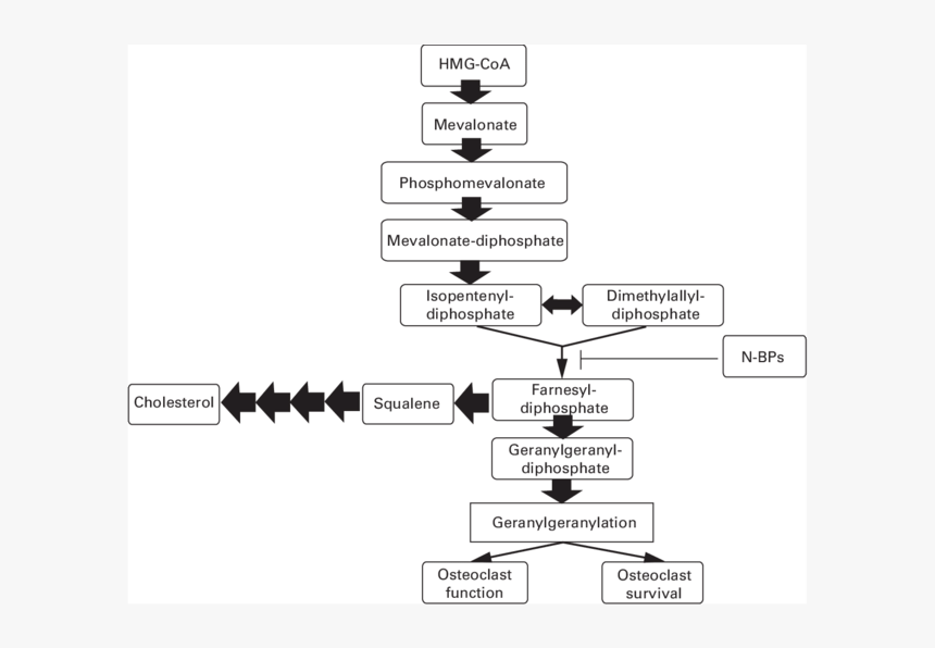 Diagram, HD Png Download