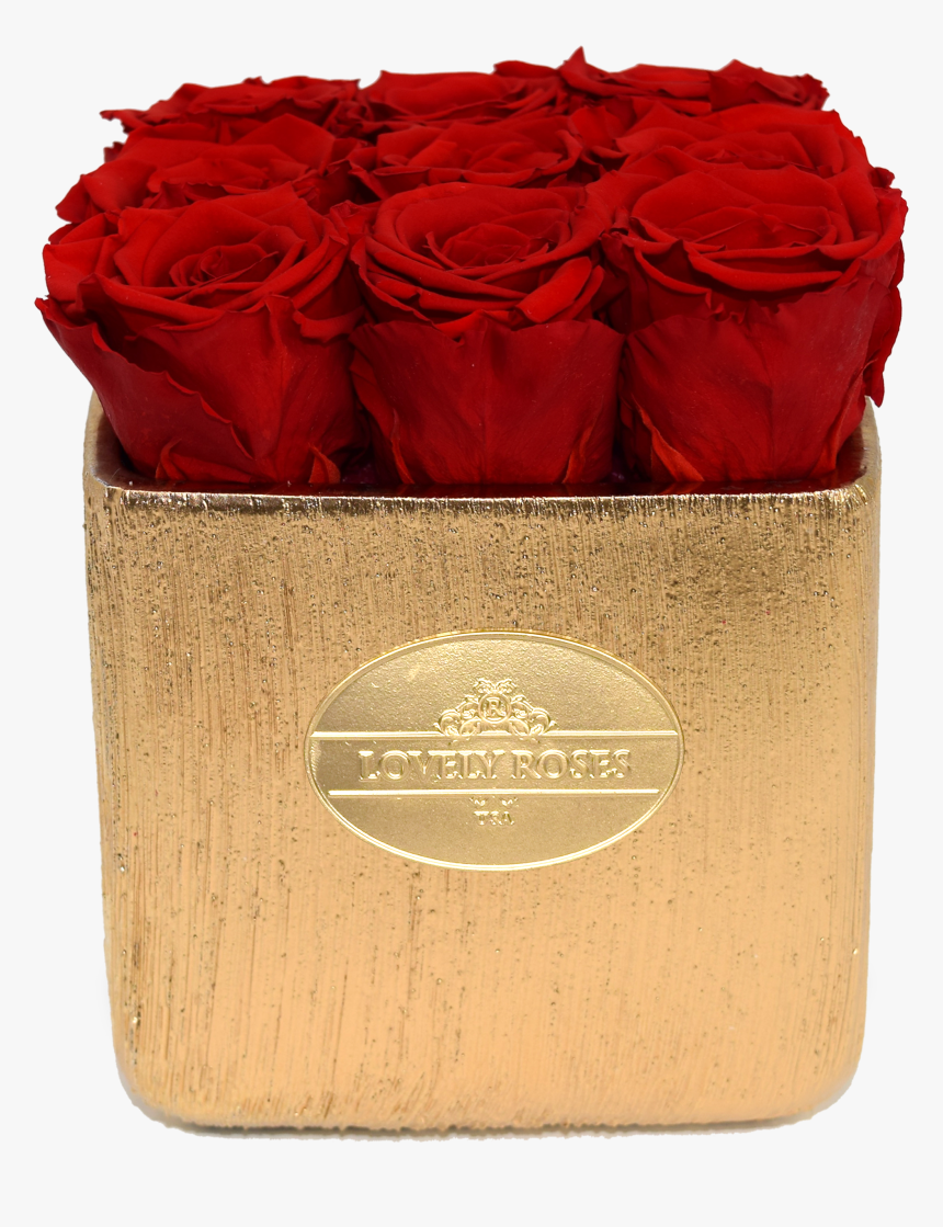 Persian Buttercup, HD Png Download